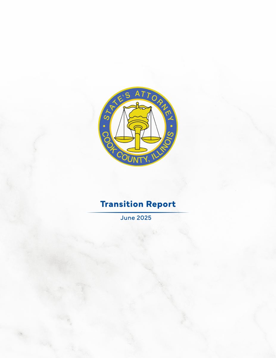 Transition Report 2025 Screenshot